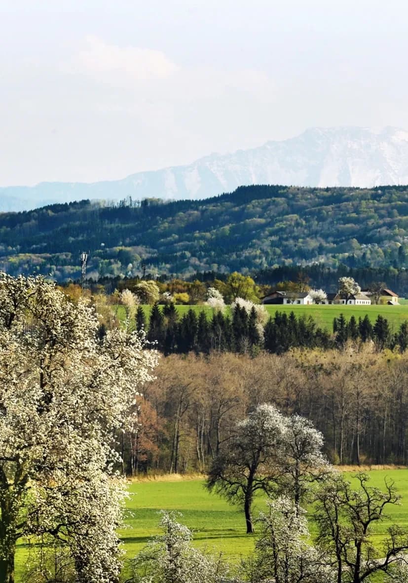 Nature and sport around Amstetten