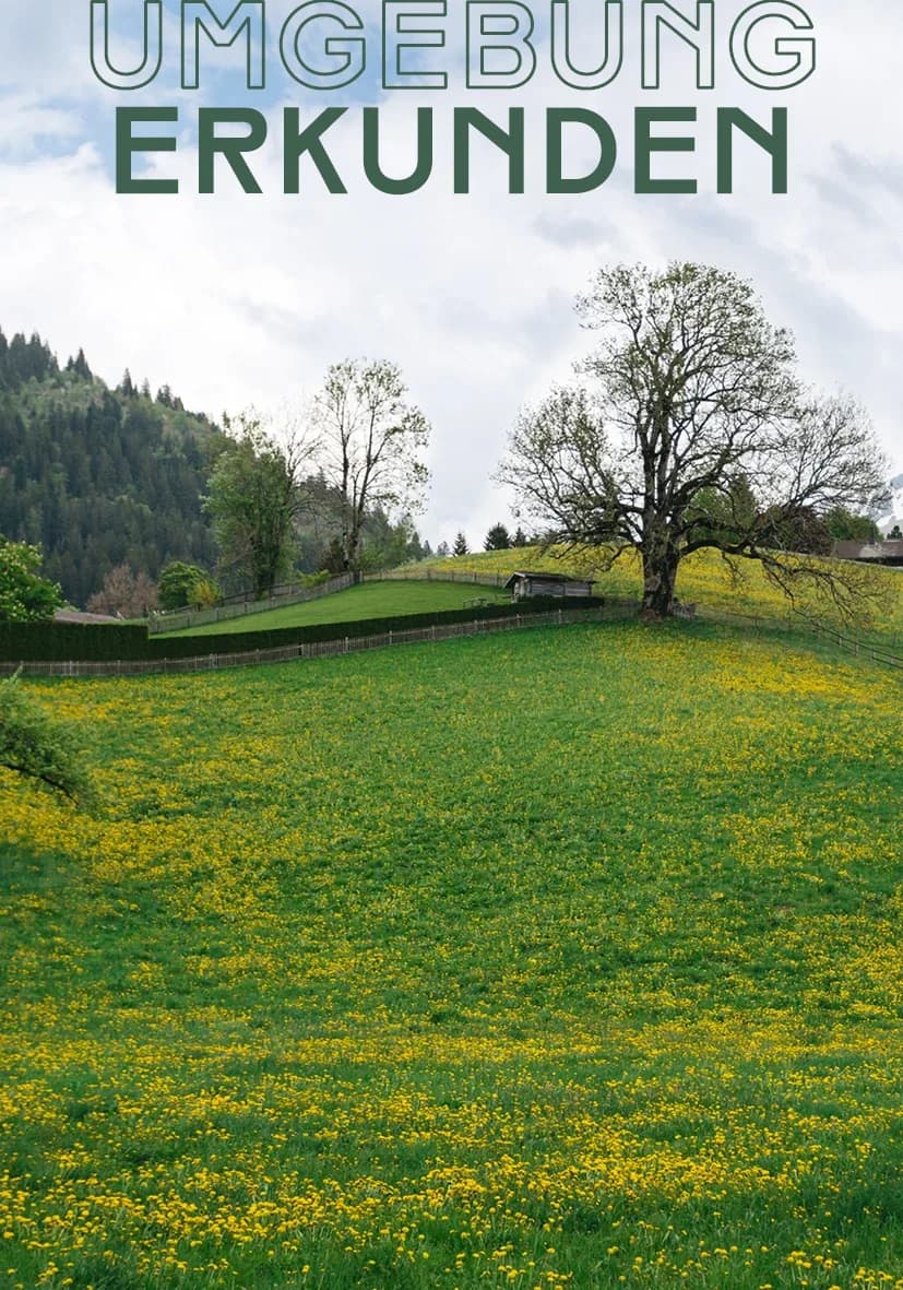 Nature and sport around Amstetten